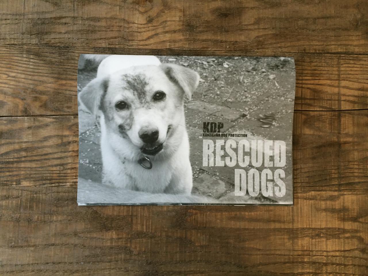 KDPの「RESCUED DOGS　2015年カレンダー」入荷しました。
