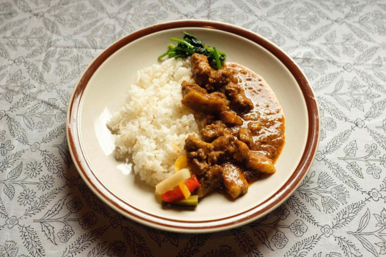 otocam curry